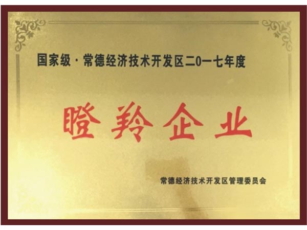 榮譽(yù)證書-(10)